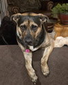 Tinker - Photo 3