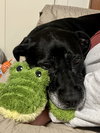 Bridget - Photo 24