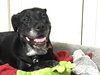 Bridget - Photo 21