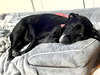 Bridget - Photo 19