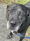 Bridget - Photo 16