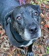 Bridget - Photo 10