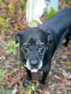 Bridget - Photo 15