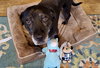 Bridget - Photo 11