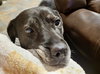 Bridget - Photo 14