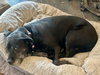 Bridget - Photo 9