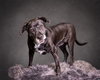 Bridget - Photo 1