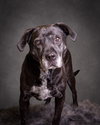 Bridget - Photo 2