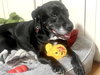 Bridget - Photo 3
