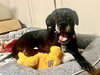 Bridget - Photo 4
