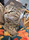 Minnie - Photo 5