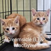 MacGyver - Photo 21