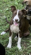 Wanda - Photo 21