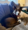 Wanda - Photo 12