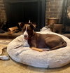 Wanda - Photo 10