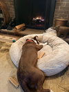 Wanda - Photo 8