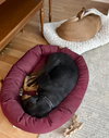 Bo - Photo 9