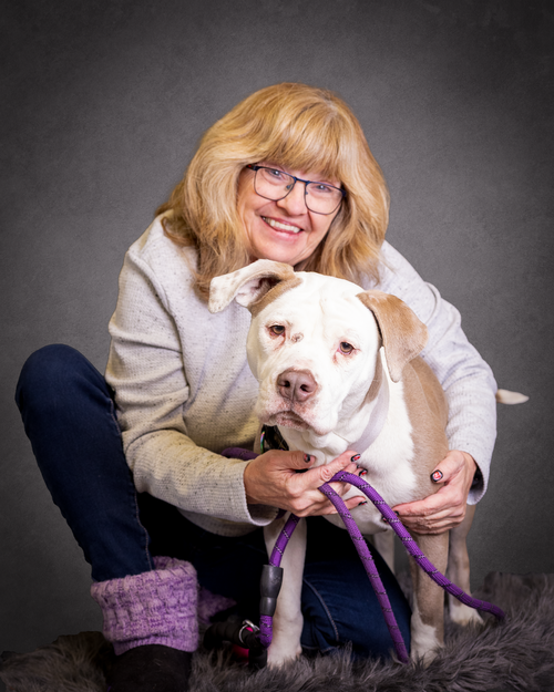 picture of the dog needing adoption