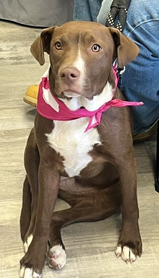 Ellie