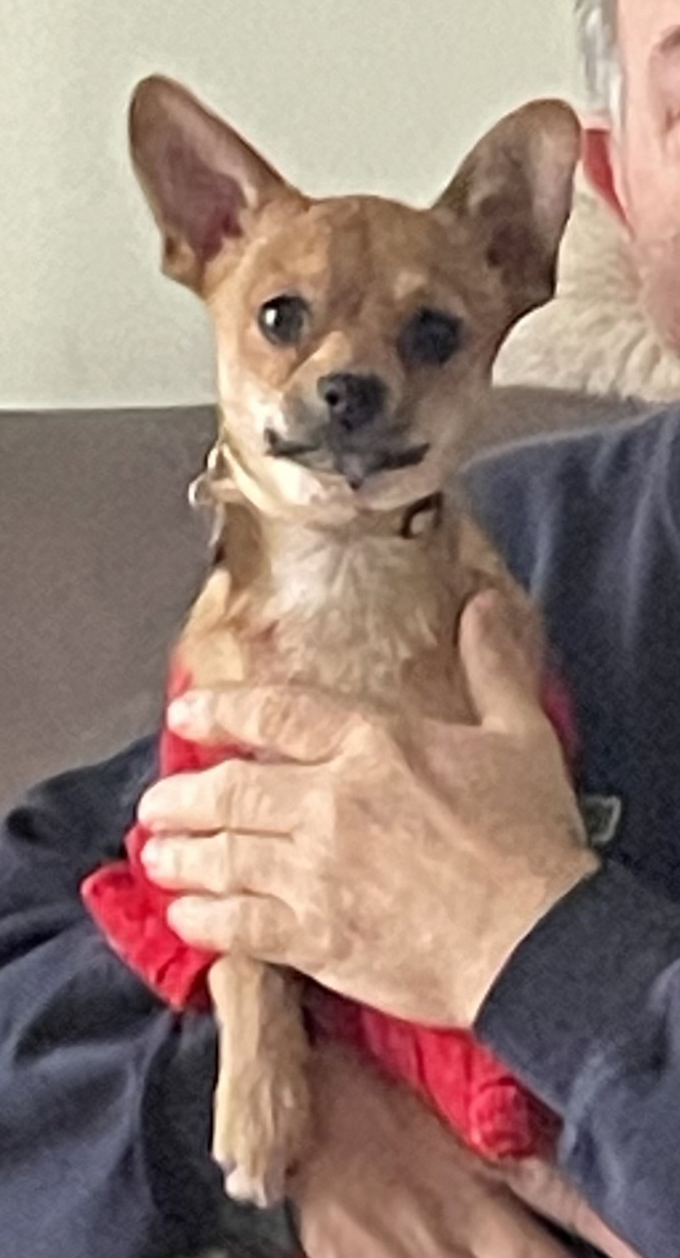 Rusty (Chi)