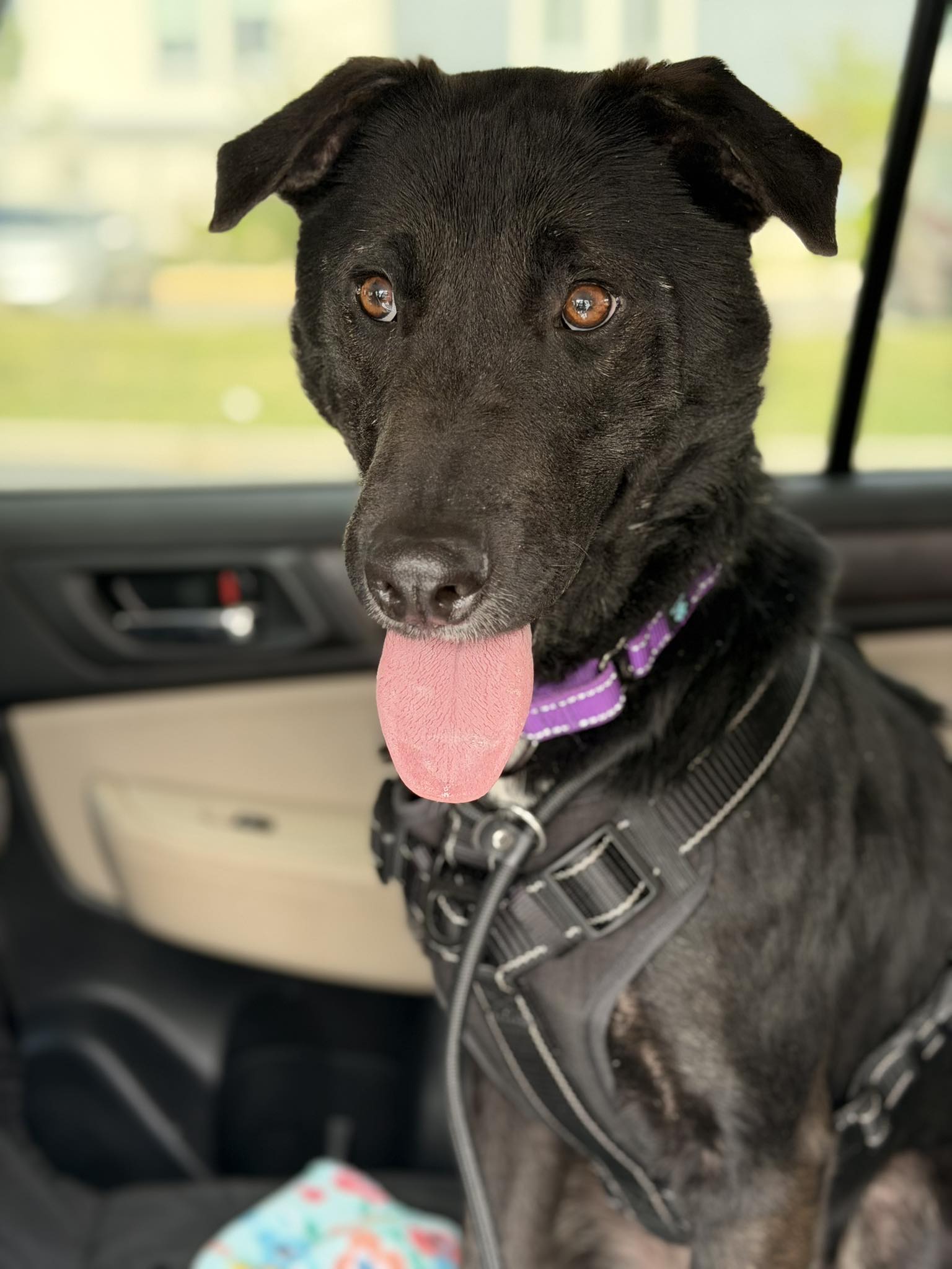 Ernie, photo 18