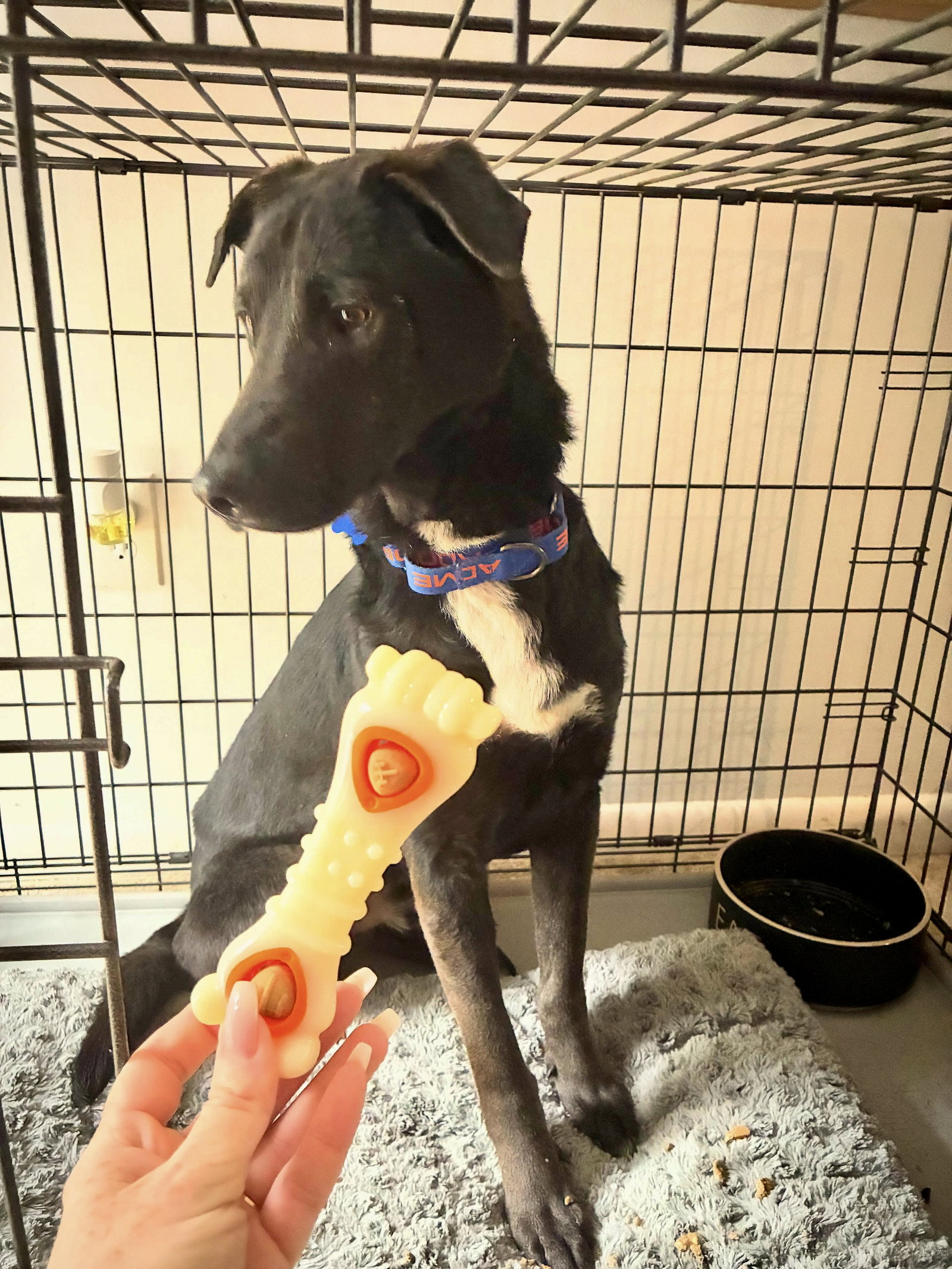 Ernie, photo 25