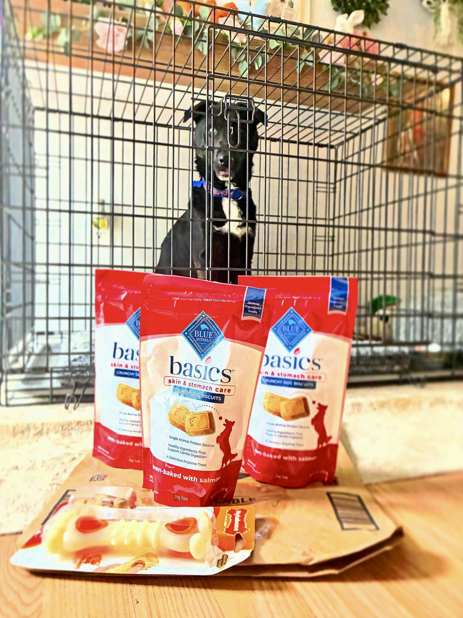 Ernie, photo 24