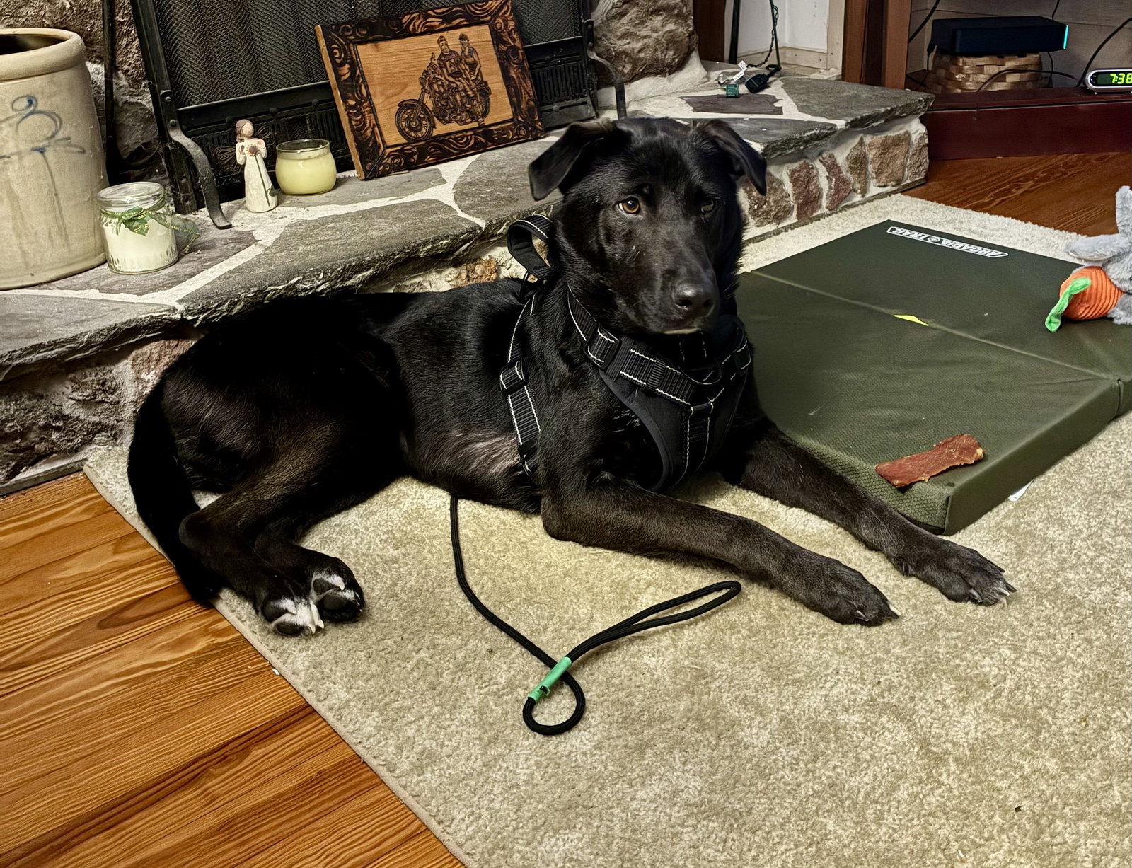 Ernie, photo 21