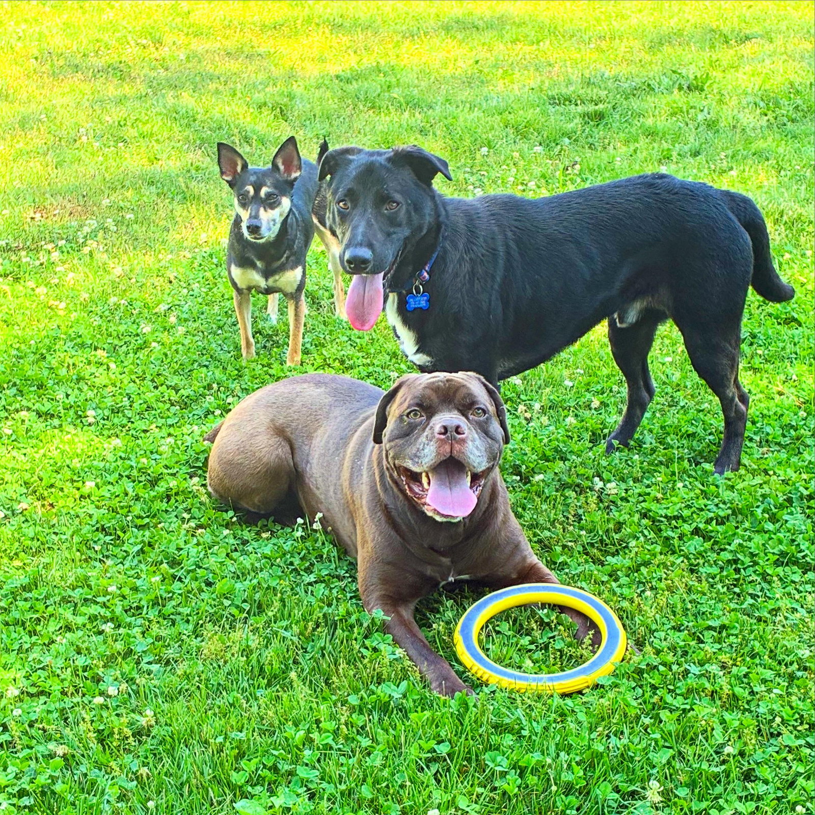 Ernie, photo 17