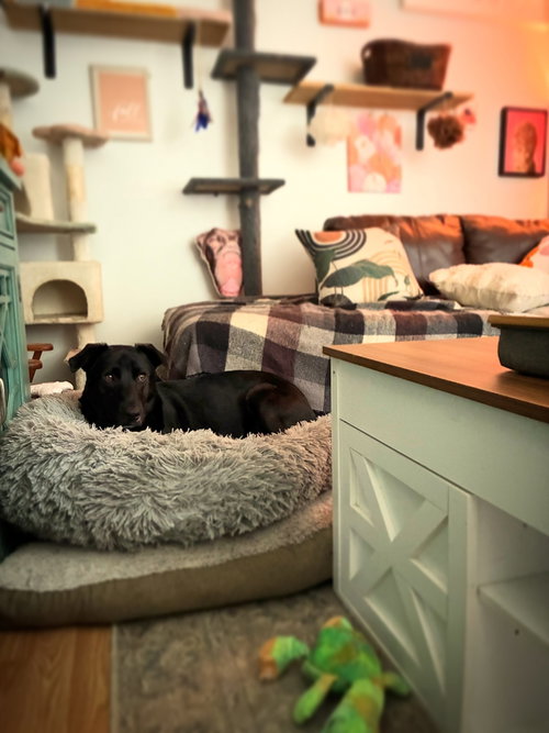Photo 6 of Ernie