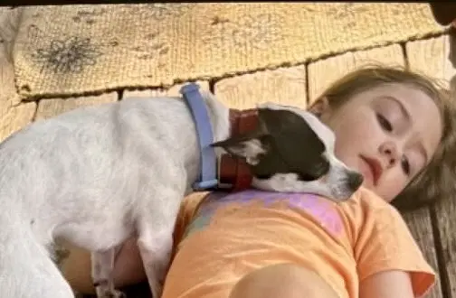 Alfie image 4