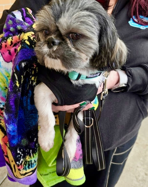 Ozzy, photo 4