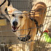 Blondie - Photo 5