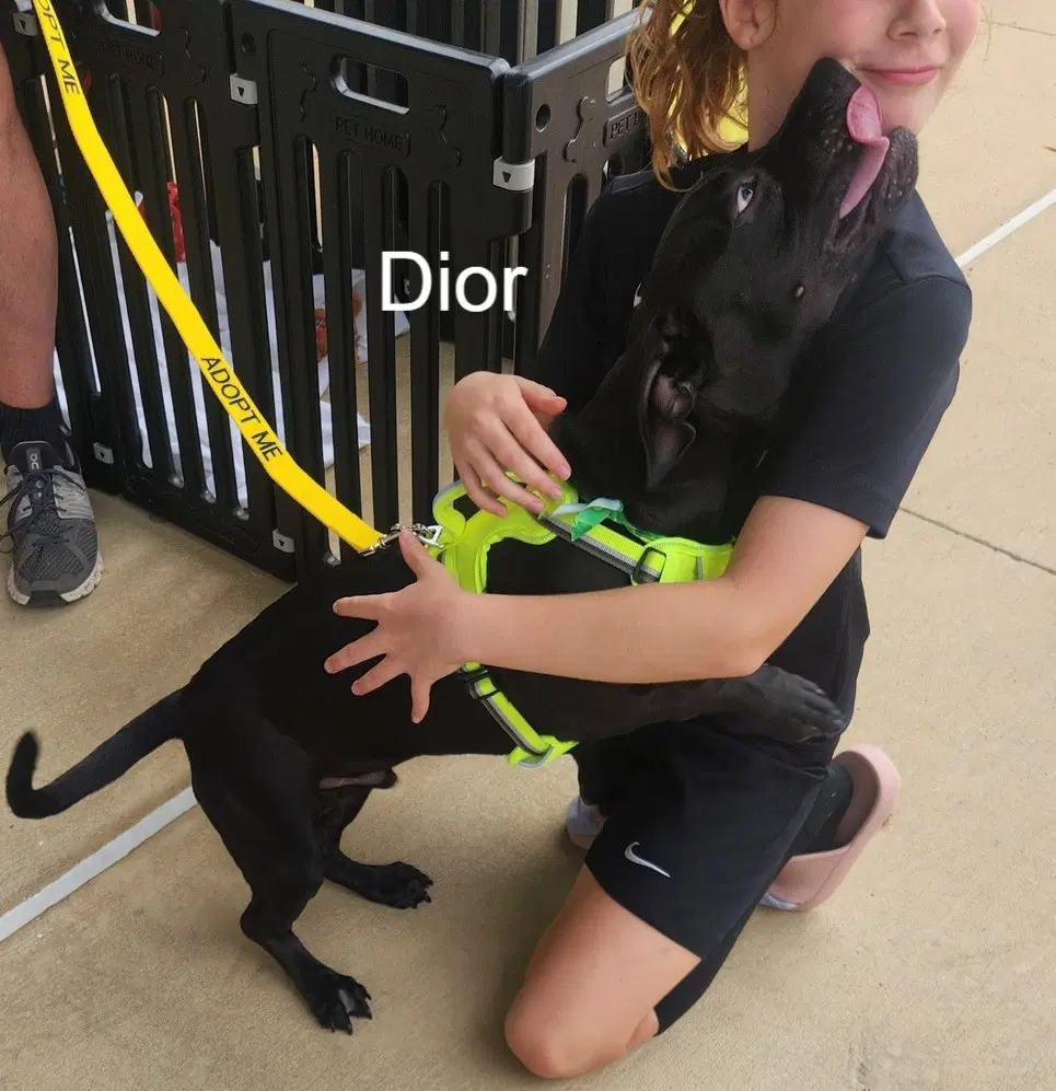 Dior image 2