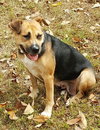 Allie - Photo 2
