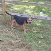 Allie - Photo 3
