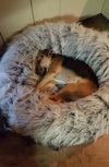 Allie - Photo 4