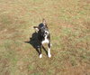 Trixie - Photo 5
