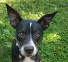 Trixie - Photo 3