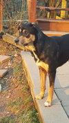Lager - Photo 3