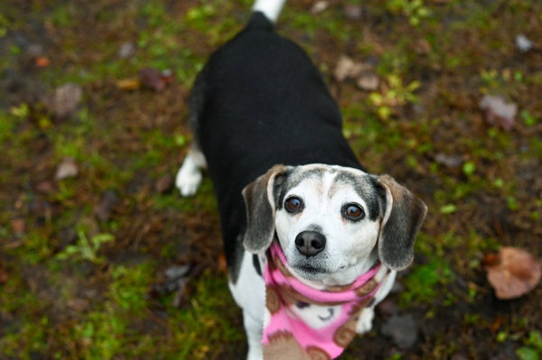 Maggie