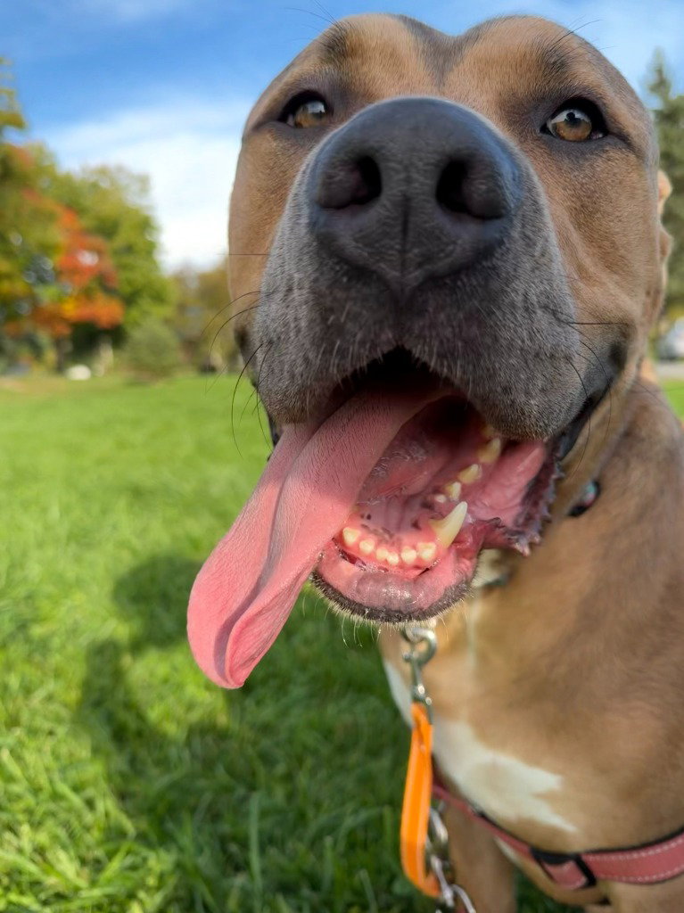 Zeus, photo 2