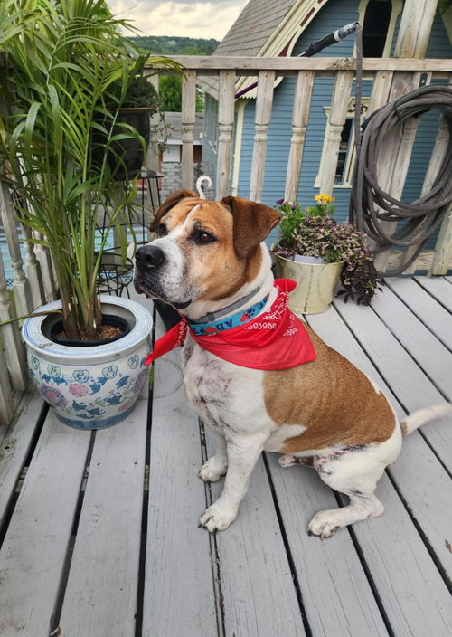 Photo 2 of Wally