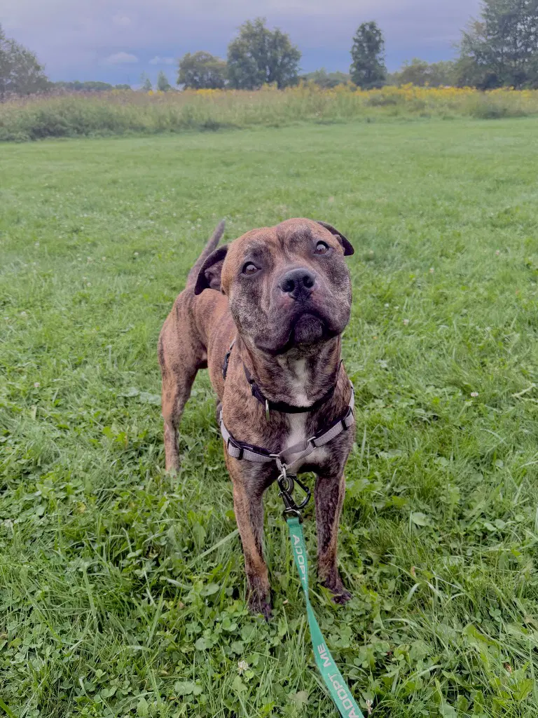 Floyd image 4