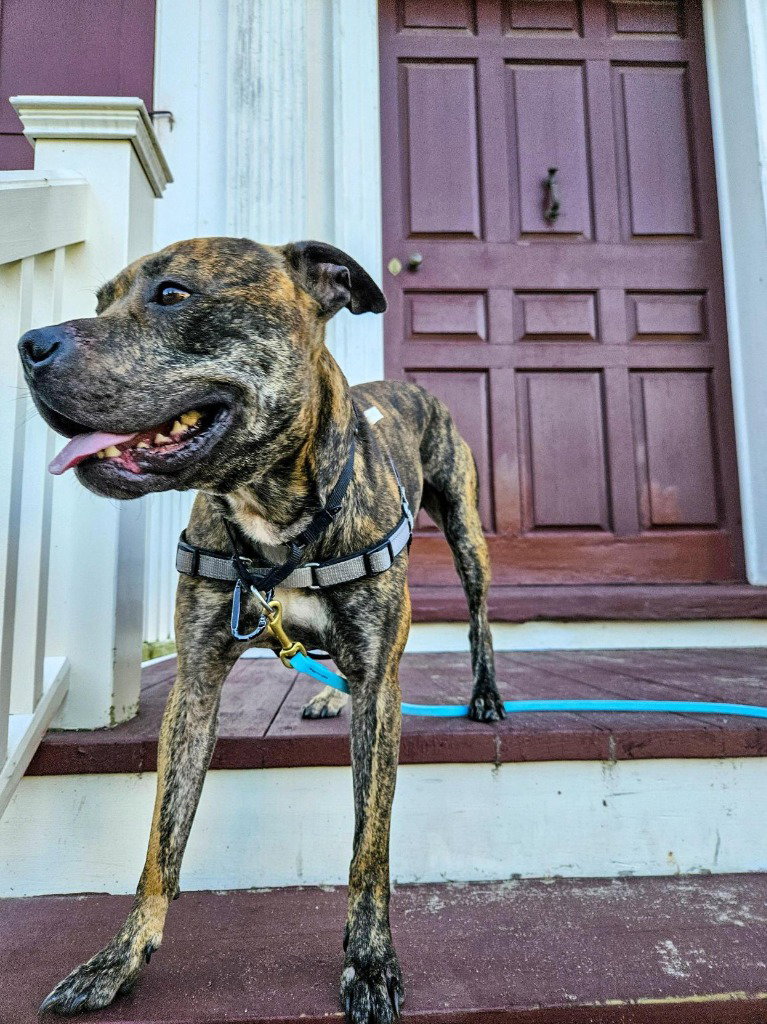 Floyd, photo 3
