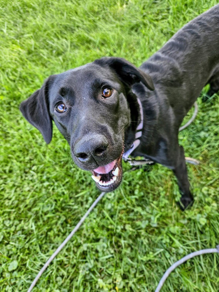 Ember, photo 3
