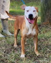 250704  Rowena