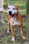 250704  Rowena
