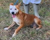 250704  Rowena