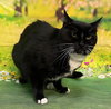 251301  Molly